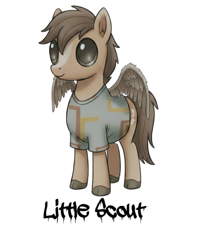 Little ScoutN_result