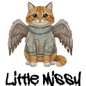 Little Missy_result